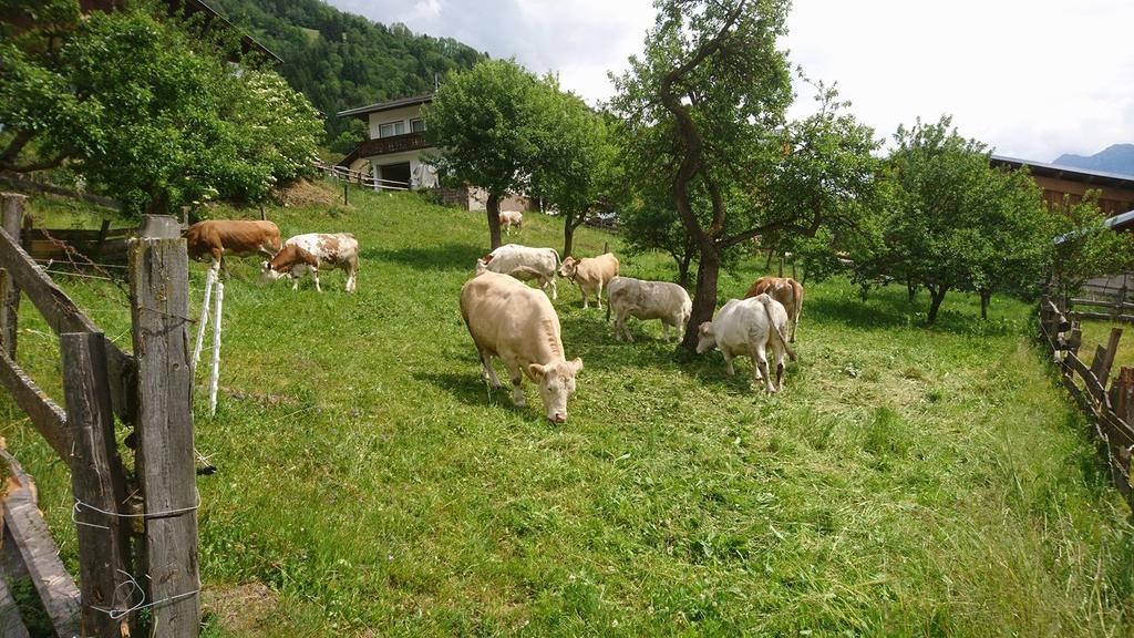 Kraeuterpension Rosenkranz Rangersdorf Εξωτερικό φωτογραφία